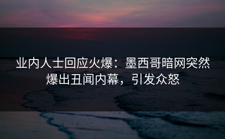 业内人士回应火爆：墨西哥暗网突然爆出丑闻内幕，引发众怒