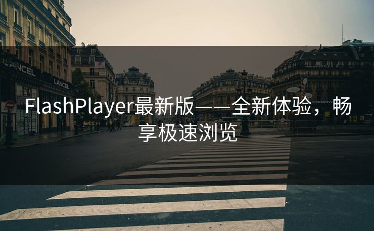FlashPlayer最新版——全新体验，畅享极速浏览